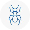 Ant Removals In Sale