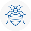 Bed Bug Extermination In Sale