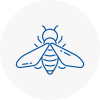 Bee Nest Removal Sale