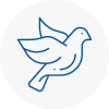 Bird Prevention Sale