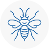 Sale Hornet Nest Removals