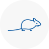 Mice Exterminators In Sale
