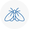 Moth Control Specialists In Sale