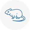 Rat Control Sale