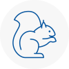 Sale Rodent Removals
