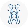 Sale Wasp Nest Removal